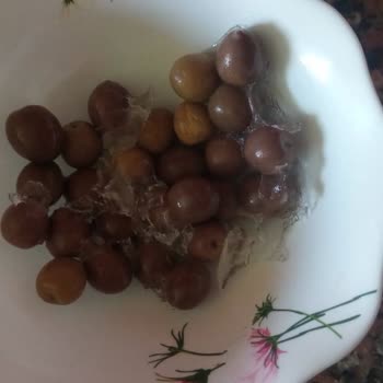 Sürekli Arızalanan Ve Donduran Buzdolabımın Değişimini Talep Ediyorum