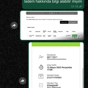 Geciken Kargo, Cevapsız İade: Hayal Kırıklığı