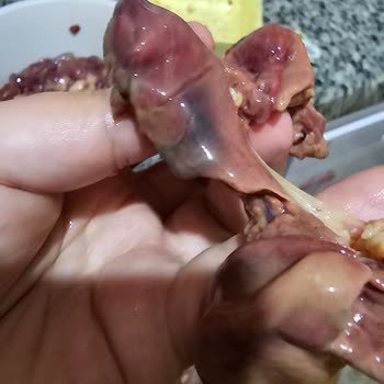 Getir'den Gelen Siparişte Bozuk Ve Geç Teslim Edilen Ürünler