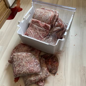 Beko Deep Freezer Spoiled My Meat on the First Night