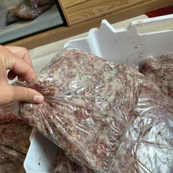 Beko Deep Freezer Spoiled My Meat on the First Night