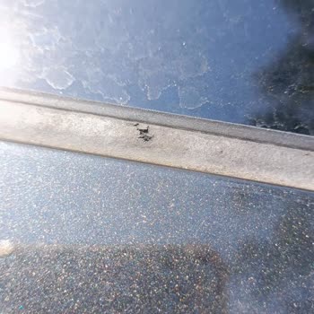 Suzuki Sunroof Fitil Kalitesizliği Ve Sorumluluktan Kaçış