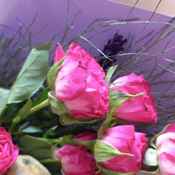 Görselden Farklı Ve Solgun Çiçek, İlgisiz Müşteri Hizmetleri