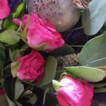 Görselden Farklı Ve Solgun Çiçek, İlgisiz Müşteri Hizmetleri