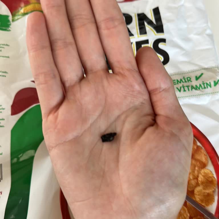 Kellogg’s Mısır Gevreğinde Yabancı Cisim Çıkması Ailemizi Endişelendirdi