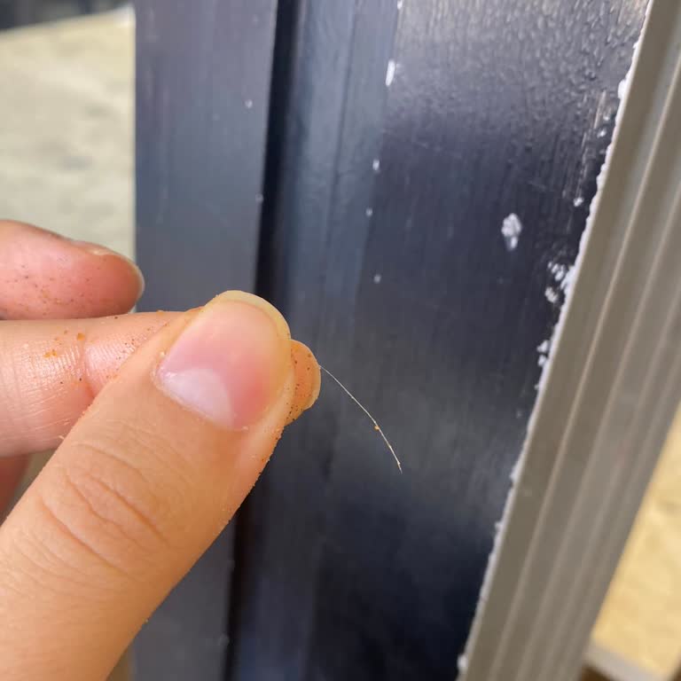 Hacıoğlu Restaurant Hijyen Kurallarına Uyulmayan Restoranda Sağlığımız Tehlikede