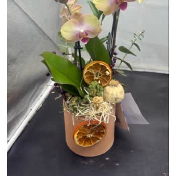 Siparişimdeki Çiçek Görselden Farklı Geldi, Mağdur Edildim