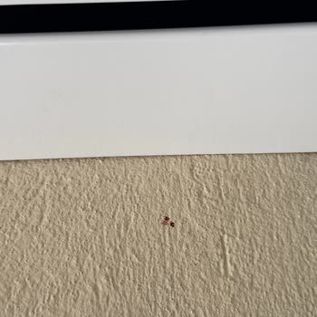 Vestel Hatalı Klima Kurulumu Ve Yetersiz Servis Nedeniyle Mağduriyet