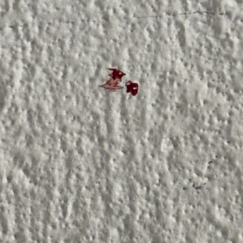 Vestel Hatalı Klima Kurulumu Ve Yetersiz Servis Nedeniyle Mağduriyet