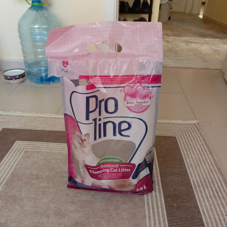 Proline Mama Kedi Kumunda Çok Toz Bulunuyor