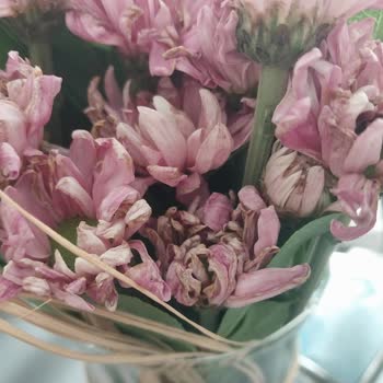 Çiçek Sepeti'nden Solmuş Çiçek Ve Yetersiz Müşteri Hizmeti Hayal Kırıklığı