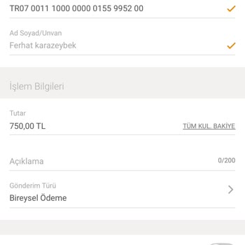 Yatırdığım Para Günlerdir Hesabıma Geçmedi, Mağdurum