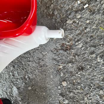 Aldığımız Bisikletin Parçası Kayboldu İade Ve Değişim Yapılmadı