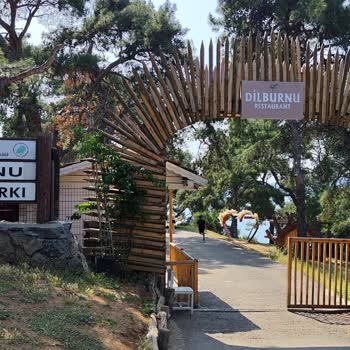 Büyükada'da Kamu Alanında Haksız Oturma Ücreti Talebi Ve Denetim Eksikliği