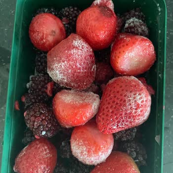 Lavi Orman Meyvelerinde Gramaj Ve Ürün Kalitesi Hayal Kırıklığı