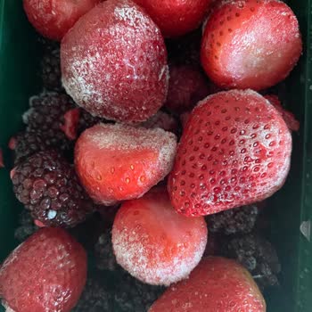 Lavi Orman Meyvelerinde Gramaj Ve Ürün Kalitesi Hayal Kırıklığı