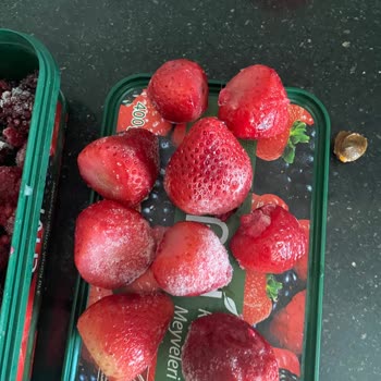 Lavi Orman Meyvelerinde Gramaj Ve Ürün Kalitesi Hayal Kırıklığı