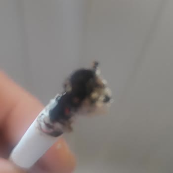 Marlboro Edge Sigarada Kalite Düşüşü Ve İçerik Sorunu