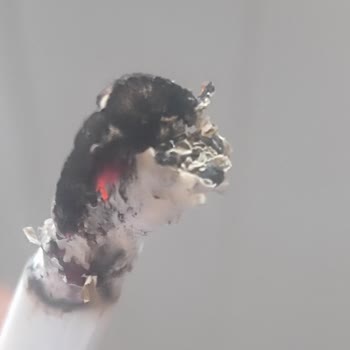 Marlboro Edge Sigarada Kalite Düşüşü Ve İçerik Sorunu