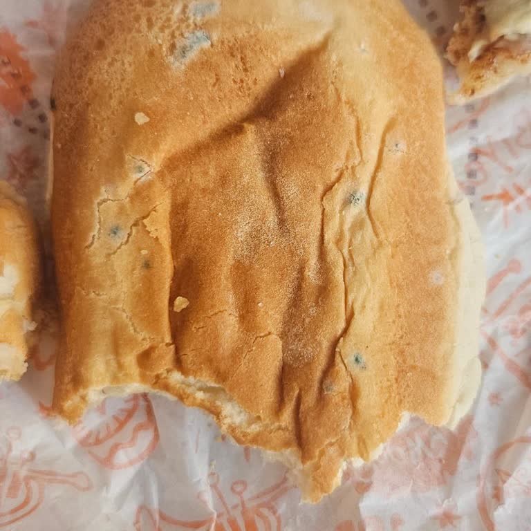 Küflü Ekmek Ve Kötü Ürün Deneyimi: Popeyes Antares AVM Siparişimde Hayal Kırıklığı