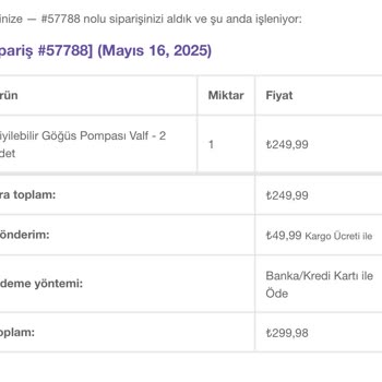 Lansinoh Göğüs Pompası Süt Çekmiyor, Zaman Ve Para Kaybı