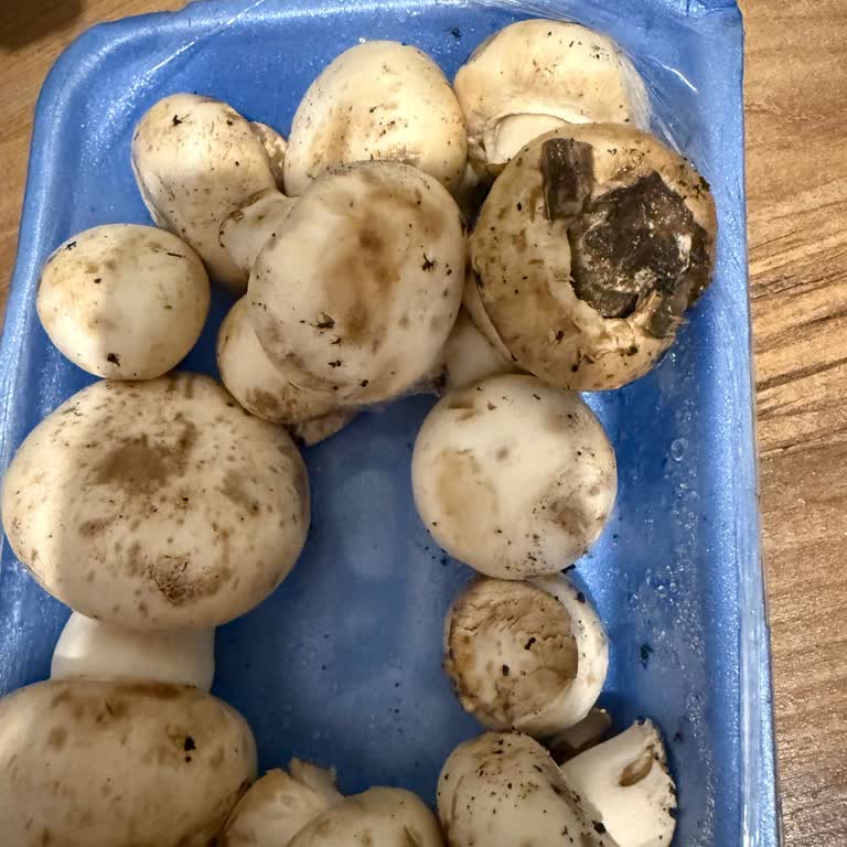 Günmar Market Mantarın Çürük Olması