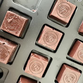 Taze Çikolatada Kurt Şoku!