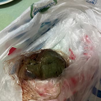 Carrefour SA Kurban Etinin Yağlı Ve Kalitesiz Çıkması