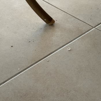 Oda Temizliği Ve Hijyen Sorunları Çocuklarımı Korkuttu