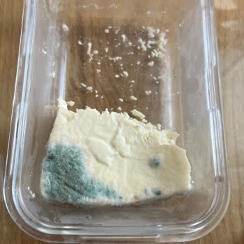 Yeni Alınan Buzdolabında Kronik Sorun Ve Yetersiz Servis Desteği