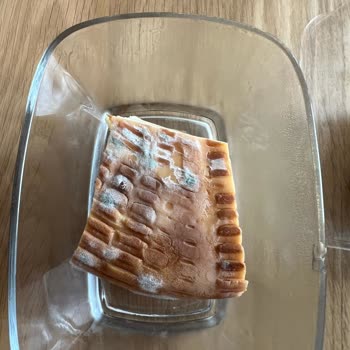 Yeni Alınan Buzdolabında Kronik Sorun Ve Yetersiz Servis Desteği