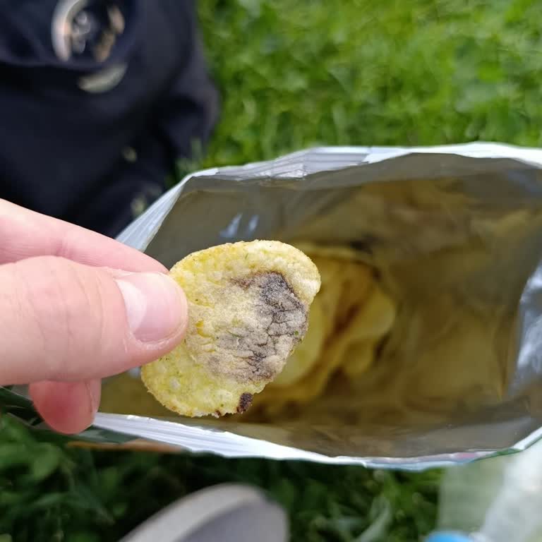 Lays Paketinden Küflü Ve Kokmuş Ürün Çıkması Hayal Kırıklığı Yarattı