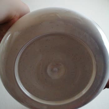 Aldığım Protein Tozunda Böceklenme Ve Sağlık Sorunu Yaşadım