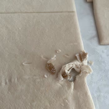 Milföy Hamurundan Böcek Ve Yabancı Cisim Çıkması