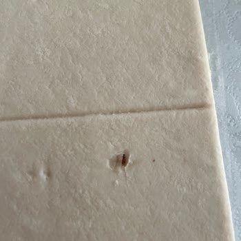 Milföy Hamurundan Böcek Ve Yabancı Cisim Çıkması