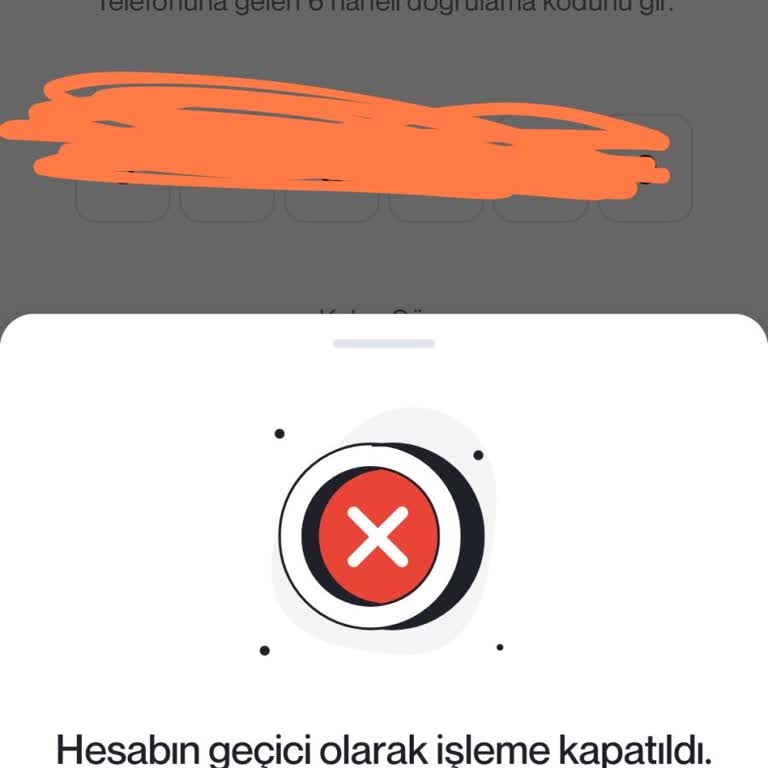 Papel Hesabıma Giriş Yapamıyorum Ve Destek Alamıyorum