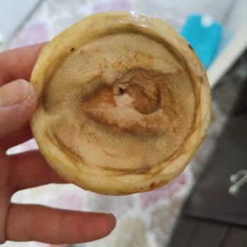 Çeşme Enginar Dünyası Siparişimde Fazla Ve Bozuk Ürün Gönderildi, Müşteri Hizmeti Yanıt Vermedi