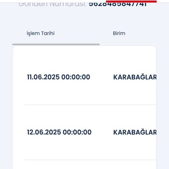 Kargom Teslim Edilmedi, Yanıltıcı Notlar Ve İlgisizlik Mağduriyet Yarattı
