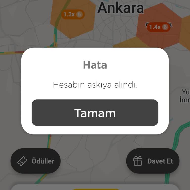 Martı Hesabım Askıya Alındıktan Sonra Yanıtsız Kaldım