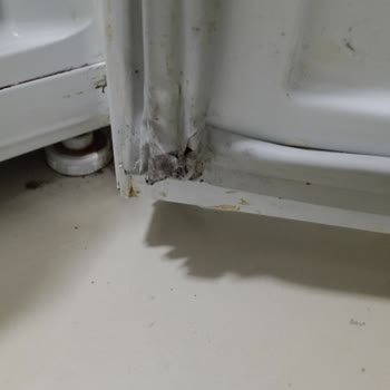 Yeni Alınan Buzdolabında Erken Lastik Sorunu Ve Yüksek Servis Ücretleri