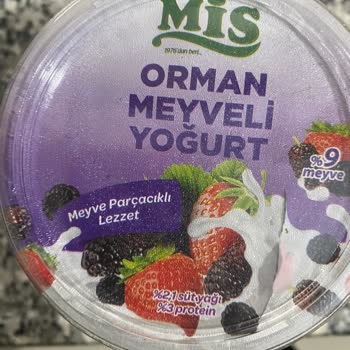 Son Kullanma Tarihi Geçmemiş Yoğurtta Küf Sorunu