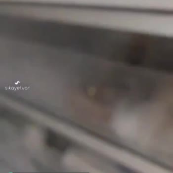 LG Derin Dondurucunun Kapak Şikayeti
