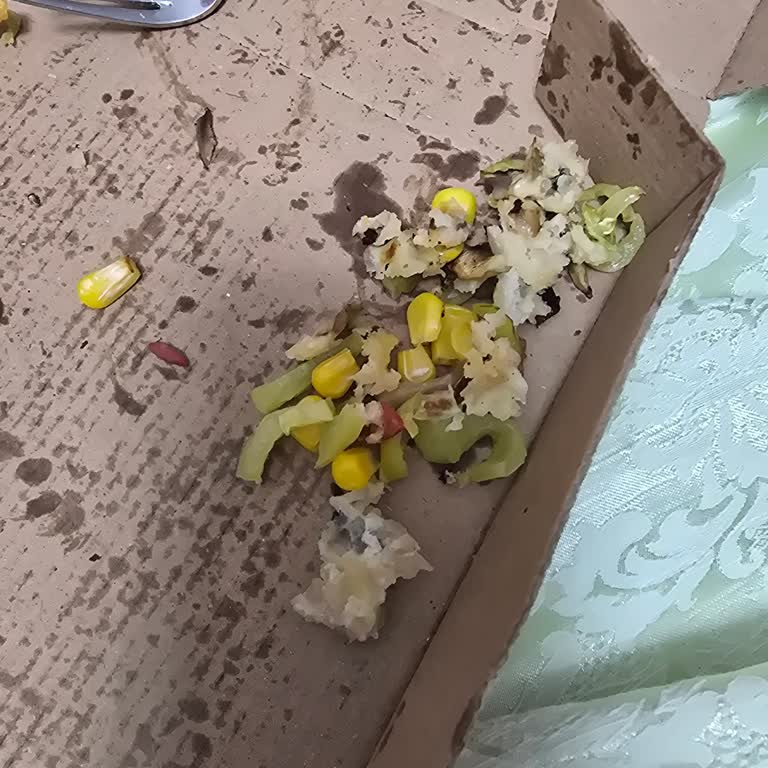 Yanlış Ve Yanmış Pizza, Kötü Müşteri Hizmeti