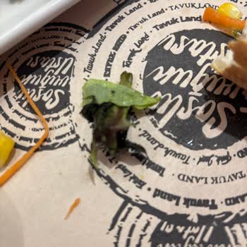 Sera AVM Tavuk Land'da Kötü Hijyen Ve Düşük Kalite Deneyimi