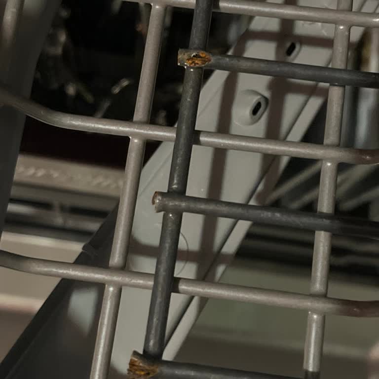 Bulaşık Makinesi Sepeti Tekrar Paslandı Endişeliyim