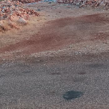 Belediye Enkaz Ve Çöp Atıkları Yüzünden Arazi Yolum Kapatıldı