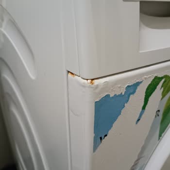 Bosch Çamaşır Makinesi Paslanma Ve Koku Sorunu Hayal Kırıklığı Yarattı