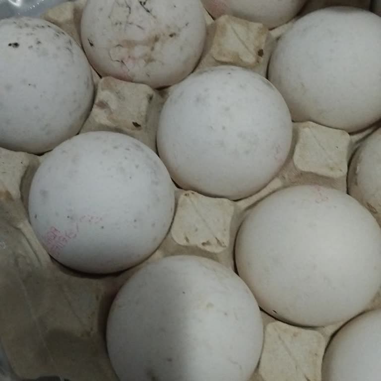 Yemeksepetinden Aldığımız Yumurtalar Küflü Çıktı Kimse Yardımcı Olmuyor