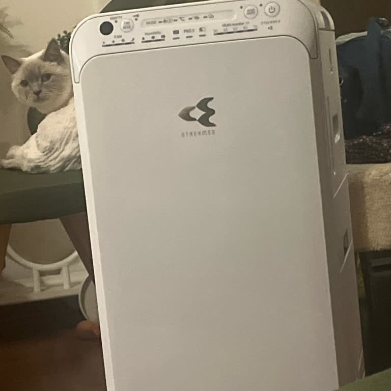 Daikin Hava Temizleyici Kötü Koku Ve Filtre Sorunu