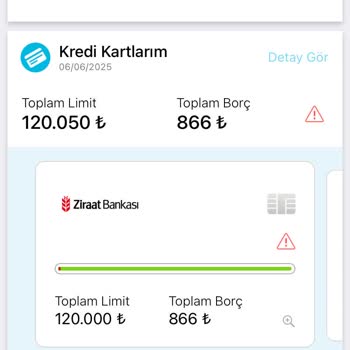 Kredi Kartı Borcum Ödendiği Halde Findeks Gecikme Gösteriyor